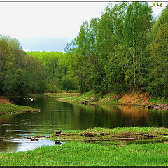 фото "Новая зелень"