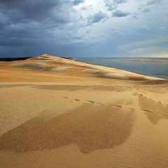 фото "pyla dune between forest and ocean"