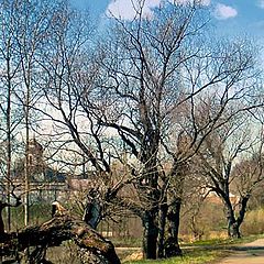 фото "Воскресенье."