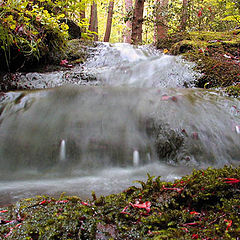 photo "small waterfall"