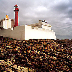 photo "The Lighthouse"