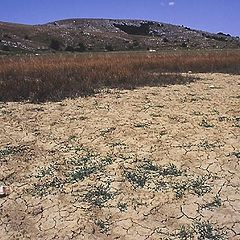 photo "The bottom dry lakes Egiz-Tinakh. Plateau Karabi."