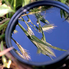 photo "A well to a sky"