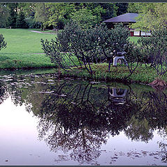 photo "Reflection"