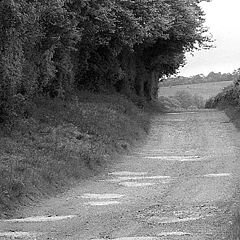 photo "Country Lane"