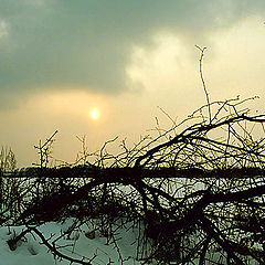 photo "Winter view"