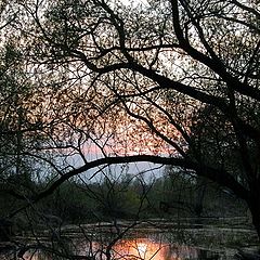 фото "последний луч"