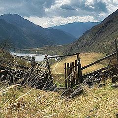 photo "Gate of Altay"