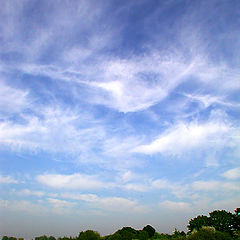 фото "Danish Landscape"