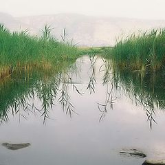 photo "Anruffled pond"