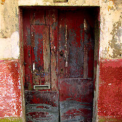 фото "front door"