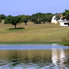 фото "Alentejo Farm at Noon"