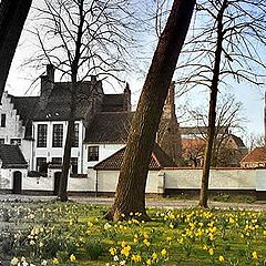 фото "Bruges, beguinage"