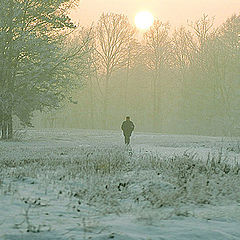 photo "Walk in winter"