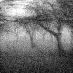 photo "(III)"