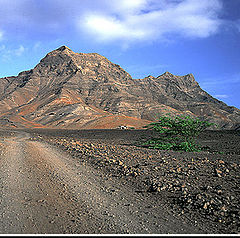 photo "Drying Land - Contrasts"