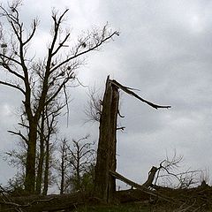 фото "after the storm"