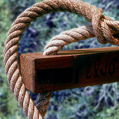 photo "Rope"