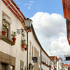 photo "Miranda do Ouro - A glance"