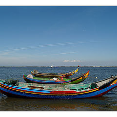 фото "Quartet for a little sailling-boat"