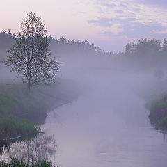 photo "Foggy evening"