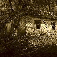 photo "Abandoned House"