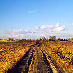 photo "Country road"