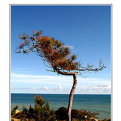 фото "Alone at the Beach !"