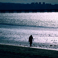 фото "Walking on the beach"