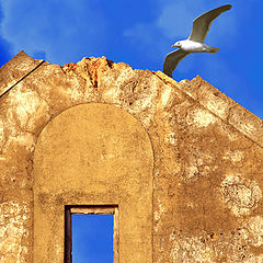 фото "The wall"