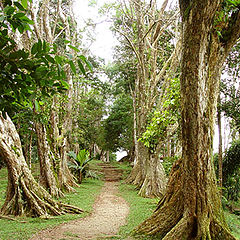 photo "Avenue of Pirates"