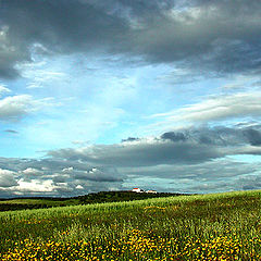 фото "Alentejo`s fields (Portugal)"