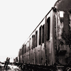 фото "Rotting on the side"