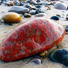 photo "Stones on the Beach"
