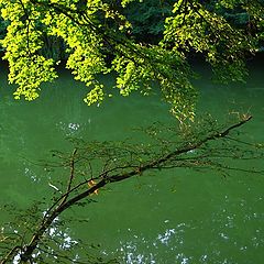 фото "Emerald Lake"