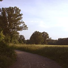 фото "landscape. summer"