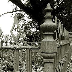 фото "1800`s Steel Fence around old Grave"