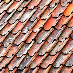 photo "Tile roof Stockholm"