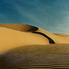 фото "Dunes"