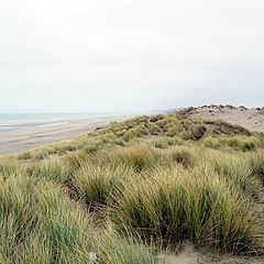 фото "de panne"