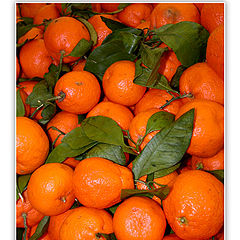 photo "Pile of vitamin-C"
