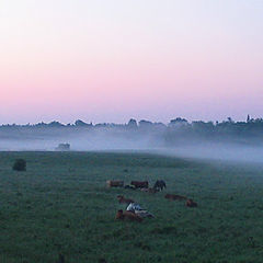 photo "Early Morning Pastorale"