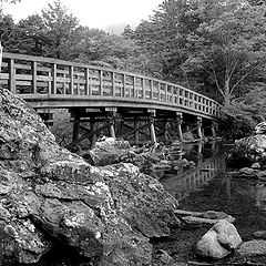 photo "Le pont en bois"