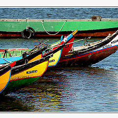 photo "The Party of the Boats"