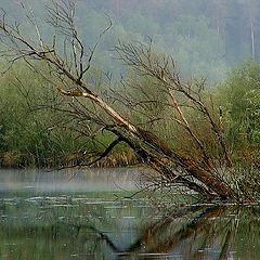 фото "Русалочье место"