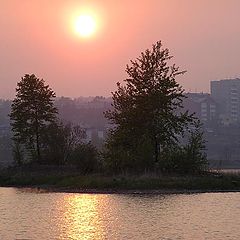 фото "Немного природы в большом городе"