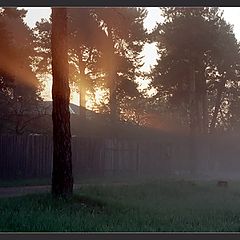 фото "Утро туманное"