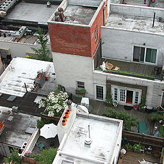 photo "Roofs of New York or "life on the edge""