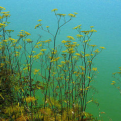 фото "Lake Merced"