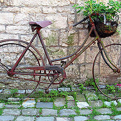 фото "my former bike"